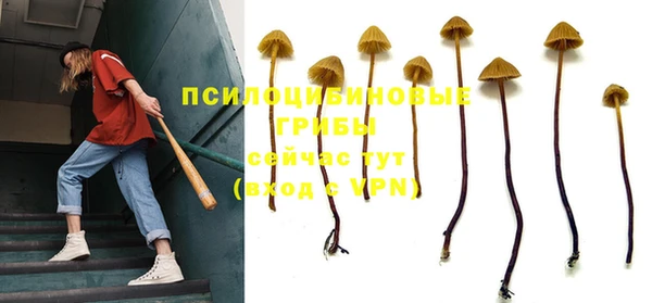 а пвп мука Балабаново