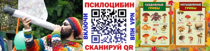 Галлюциногенные грибы мухоморы  что такое наркотик  Лыткарино 
